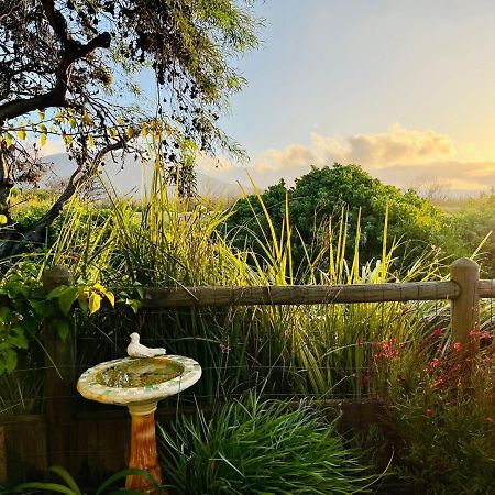 Sunbird Cottage Noordhoek Exterior foto