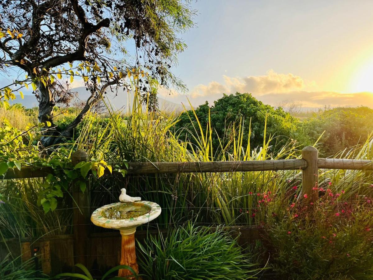 Sunbird Cottage Noordhoek Exterior foto