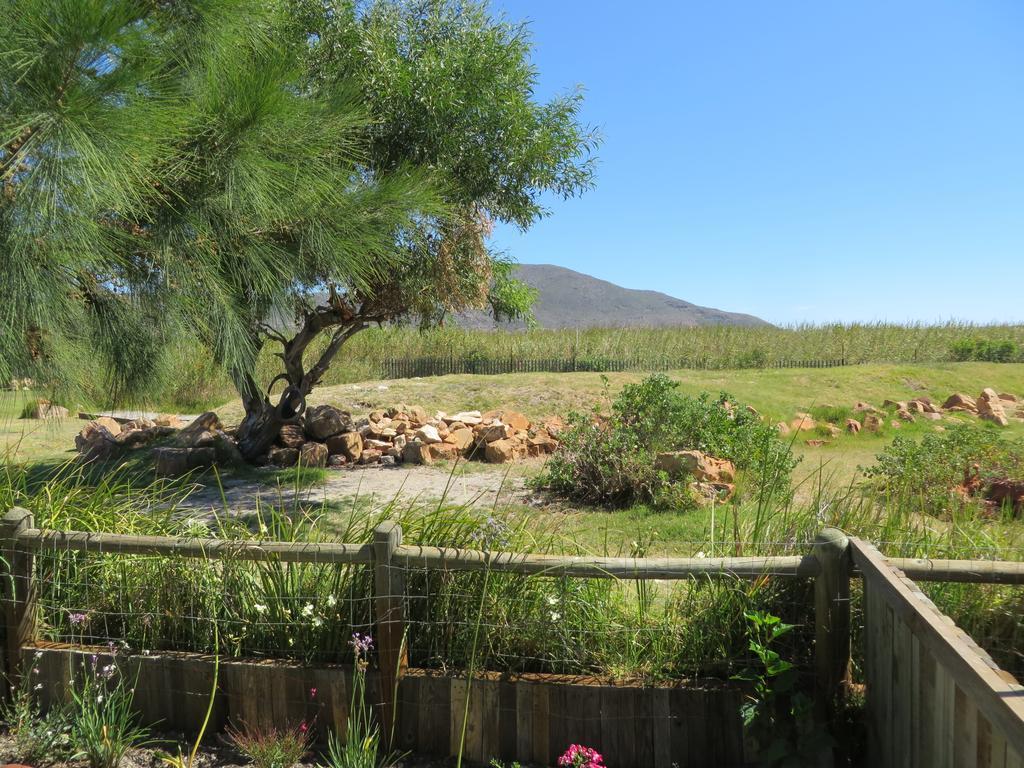 Sunbird Cottage Noordhoek Exterior foto