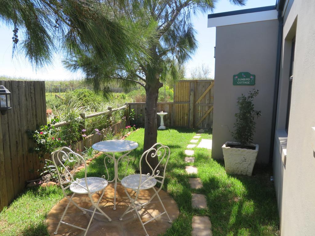Sunbird Cottage Noordhoek Exterior foto